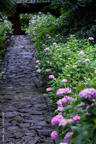 雨の日の風景　梅雨