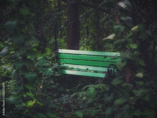 benches image for various type of content