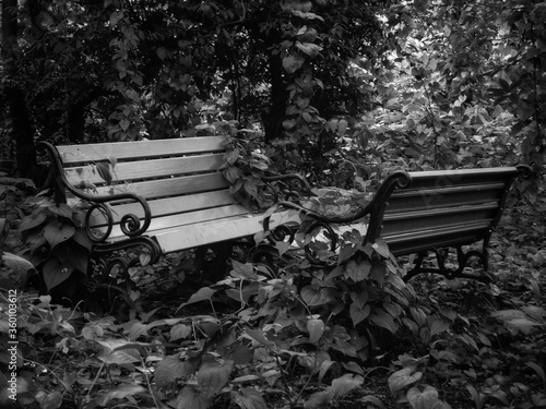 benches images for lonely or sad content