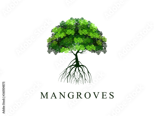 Fotografie tree and roots vector illustrations, mangrove tree