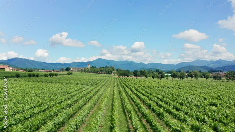 Flying Low over Italian Vineyards Fields in Franciacorta, Brescia Province, Italy. Blue sky. Fluffy Clouds. View of Ancient Italian Castle. Flying Low over Italian Vineyards Fields in Franciacorta, Brescia Province, Italy. Blue sky. Fluffy Clouds. View of Ancient Italian Castle.