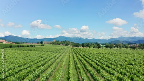 Wallpaper Mural Flying Low over Italian Vineyards Fields in Franciacorta, Brescia Province, Italy. Blue sky. Fluffy Clouds. View of Ancient Italian Castle. Torontodigital.ca