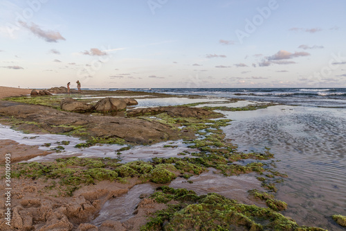 Mulheres fotografando ao fundo com imagem focada em primeiro plano mostrando as belezas da praia photo