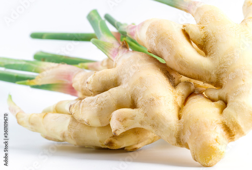 Close up young ginger on white background. Fresh organic young ginger with green stalks. Able to see details texture.