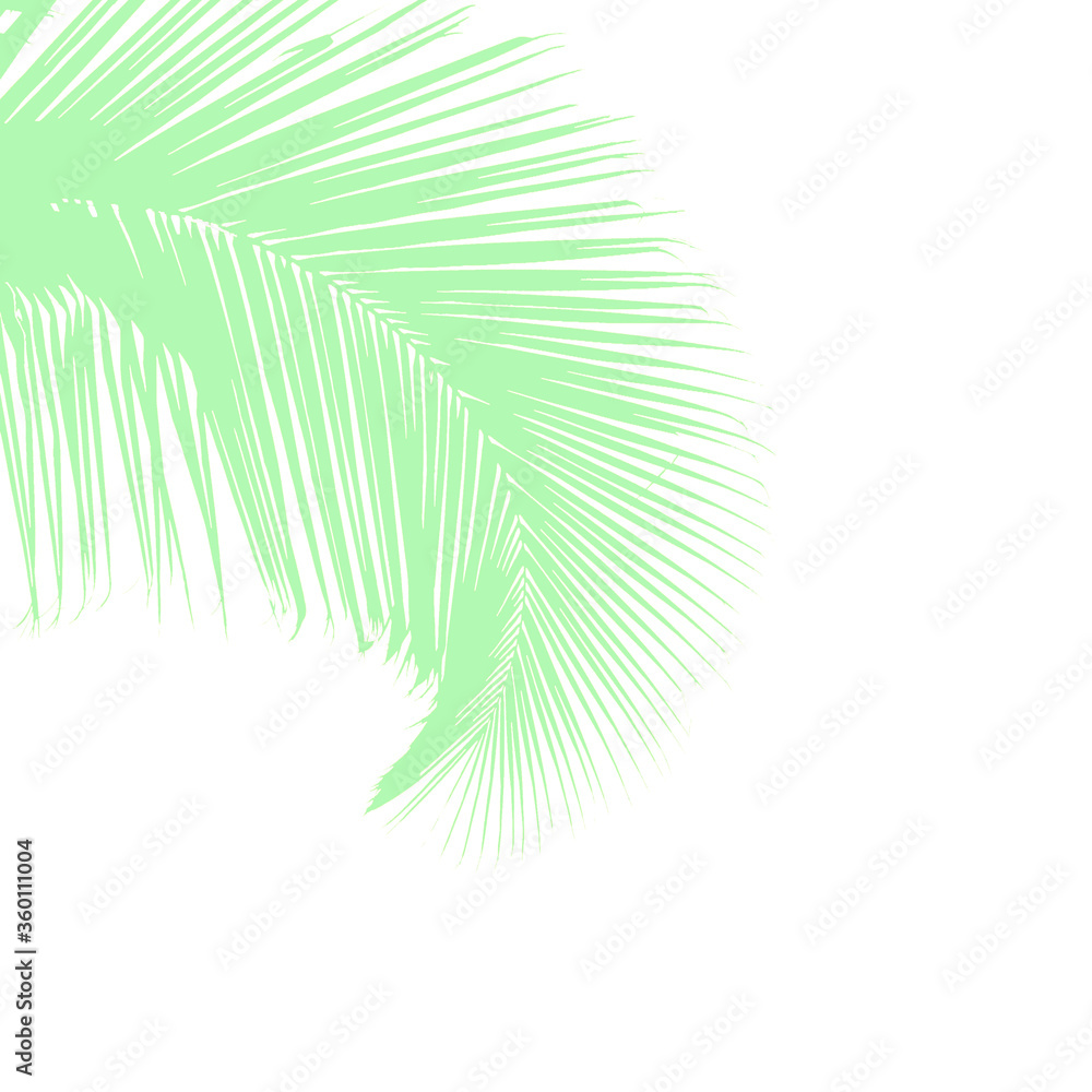 Obraz premium palm tree leaves