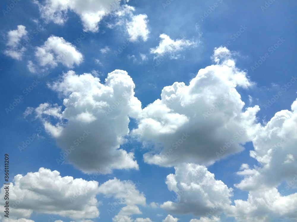 Fototapeta premium Blue sky and white cloud backgrounds and textures closeup for wallpaper interior design. Nature create very beautifully.