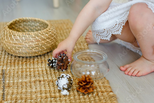 A little girl playing with a pine cone. Close-up game. A pretty young blonde is studying in a class in the style of Montessori or home concept. Explores natural materials.