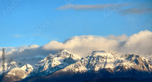 snow alps panorama