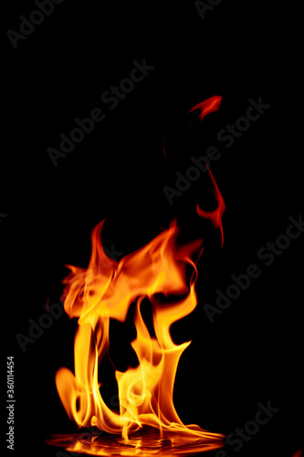 fire in the flames on black background © ohm2499