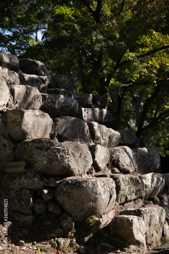 城跡にある石の階段と木漏れ日