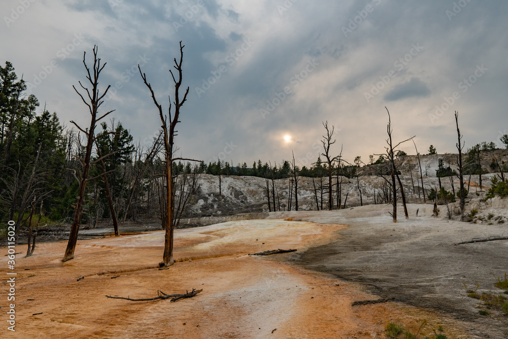 Mammoth Hot Springs in Yellowstone National Park