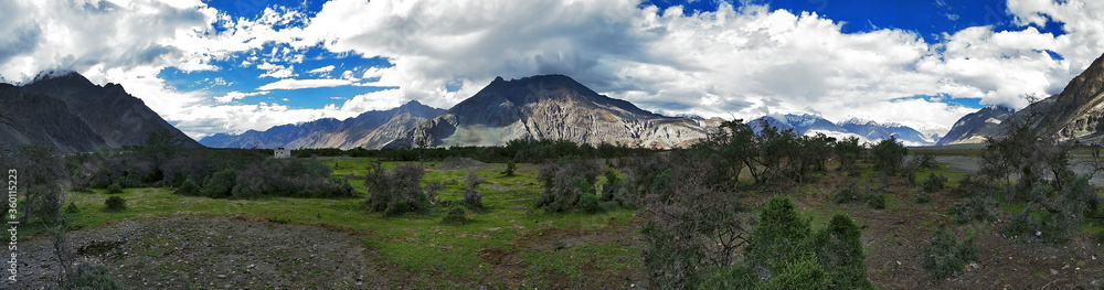 Panorama view green field oasis with snow mountain on background at Nubra Valley in Leh Ladakn India