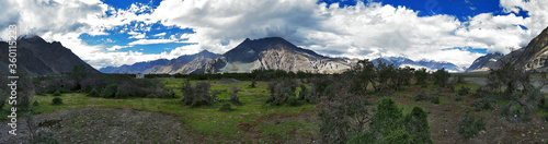 Panorama view green field oasis with snow mountain on background at Nubra Valley in Leh Ladakn India photo