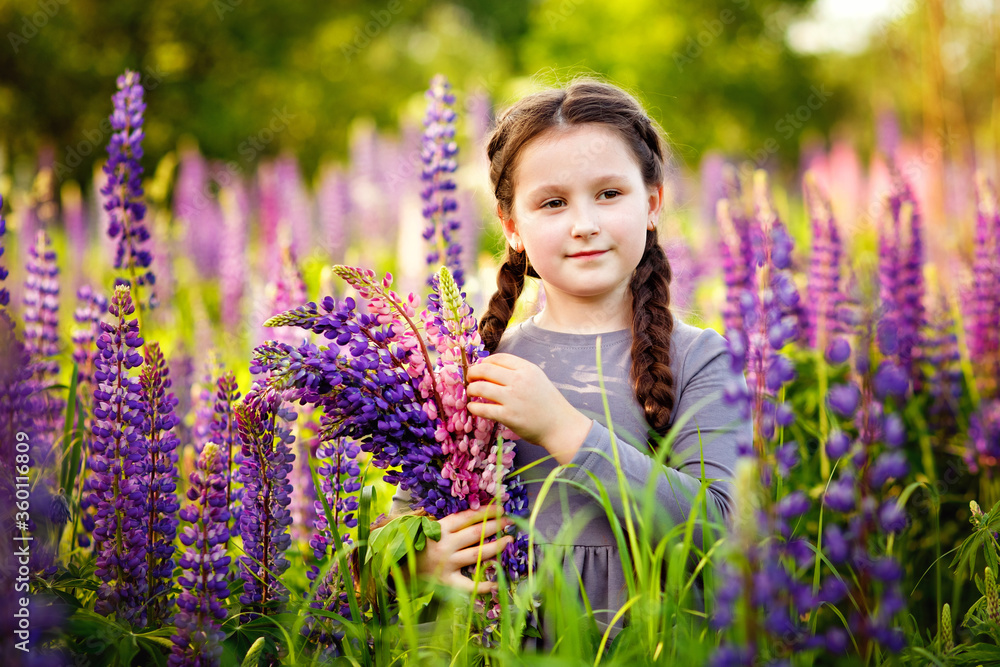 Portrait of a cute little girl with a bunch of lupins in the sunlight. A girl holds a bouquet of purple flowers in a field of lupines. The concept of childhood. Child with a bouquet of flowers Portrait of a cute little girl with a bunch of lupins in the sunlight. A girl holds a bouquet of purple flowers in a field of lupines. The concept of childhood. Child with a bouquet of flowers