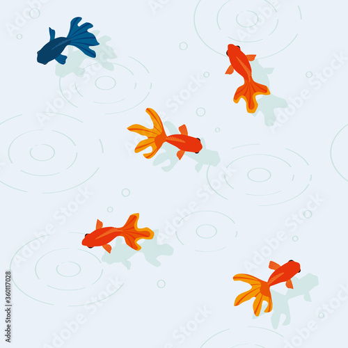 Seamless pattern with red and black goldfish
