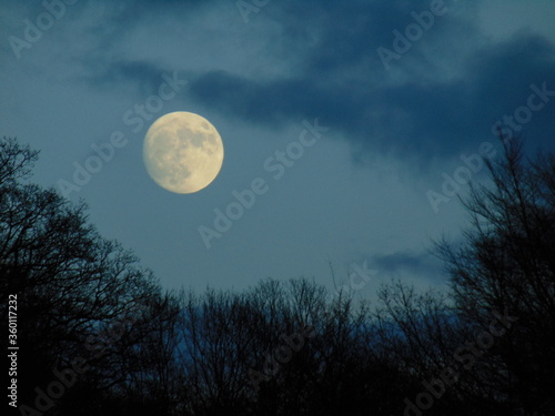 Winter Moon Rising.