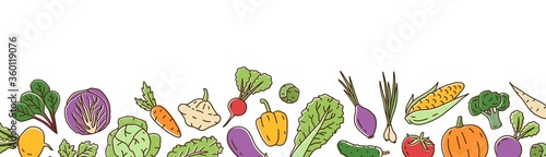 Colorful fresh organic vegetable horizontal background in line art style. Bright healthy vegetarian food vector illustration. Ripe vegetables, salads and herbs isolated on white