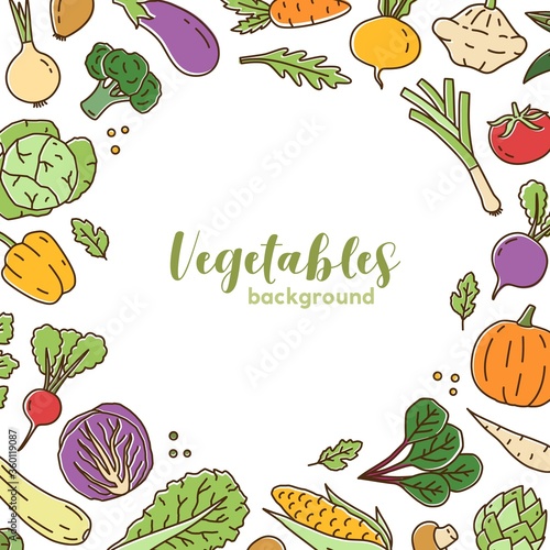 Ripe fresh vegetables background with place for text vector illustration. Colorful organic greenery salads and herbs in line art style. Vegetarian tasty vitamin food for healthy lifestyle
