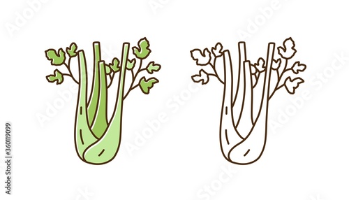 Cute green and monochrome celery with leaves and stem vector illustration in ...