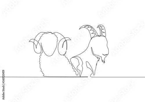 One single line drawing of goat and sheep head. Muslim holiday the sacrifice animal such as goat, camel, sheep and cow, Eid al Adha greeting card concept continuous line draw design illustration