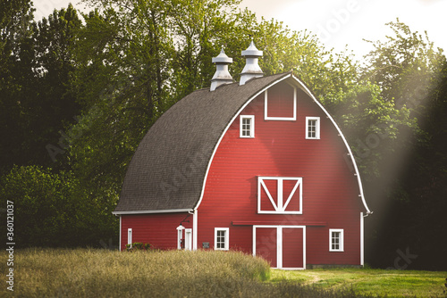 Fotografia old red barn