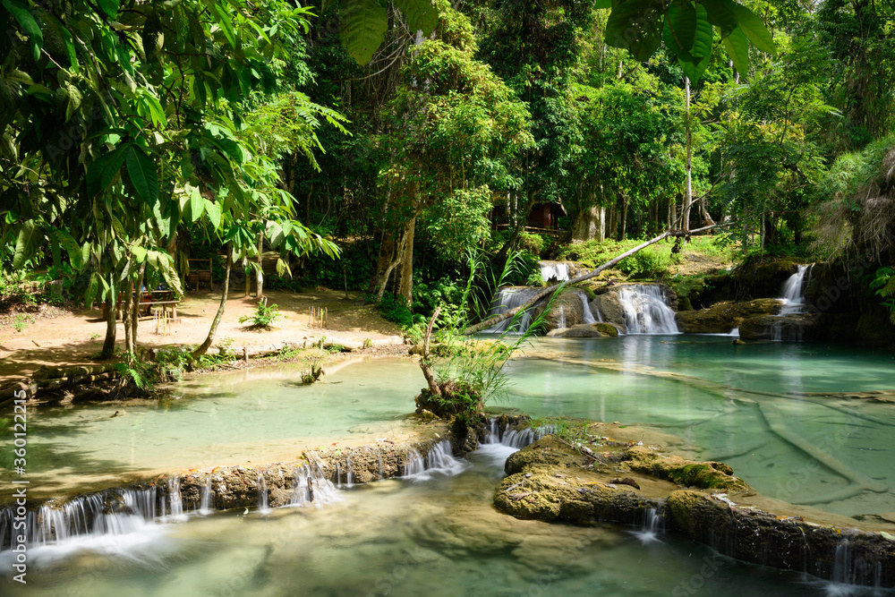 Naklejka premium Le bassin en aval et l'aire de pique nique des chutes de Kuang Si, à Luang Prabang, au Laos.