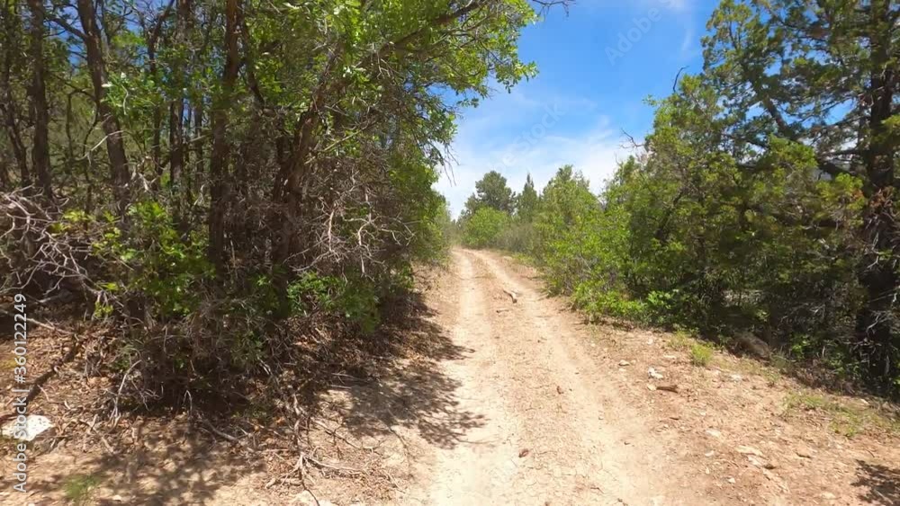 Outdoor off road recreation follow ATV mountain trail forest 4K POV. Nature in natural environment. Recreation, off road, 4x4 exploring and adventure riding UTV / ATV / OHV. Destination. Outdoor off road recreation follow ATV mountain trail forest 4K POV. Nature in natural environment. Recreation, off road, 4x4 exploring and adventure riding UTV / ATV / OHV. Destination.