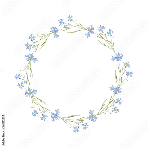 Wreath of watercolor flowers cornflowers on a white background. Use for wedding invitations  holidays  menus.