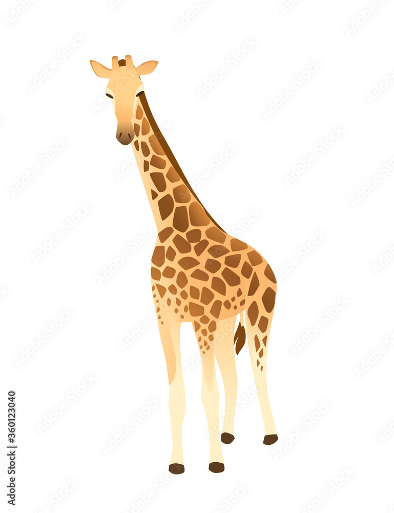 Mature giraffe african animal with long neck cartoon animal design flat vector illustration isolated on white background