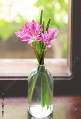 Obraz na plátně a bouquet of crocuses in a glass of purple, haze, fuzziness, fog, blur
