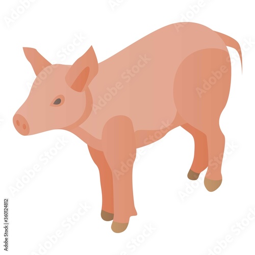 Farm pig icon. Isometric of farm pig vector icon for web design isolated on white background