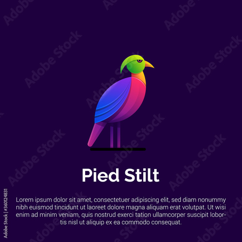 Colorful Pied stilt logo template