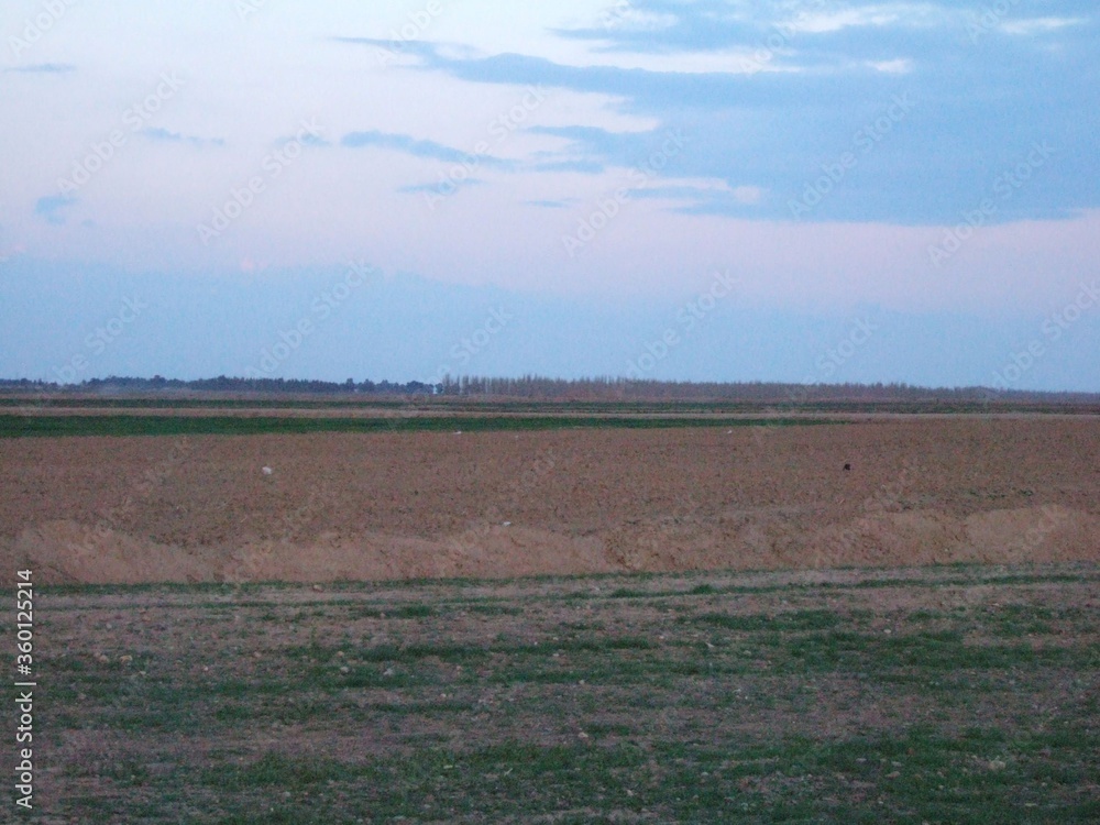 Obraz premium Look around in the twilight 