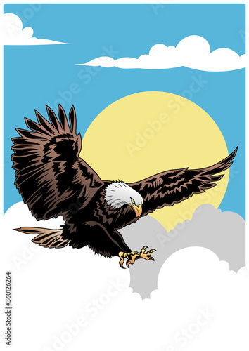 Flying Bald Eagle, Flight in the Sky Vector Illustration  