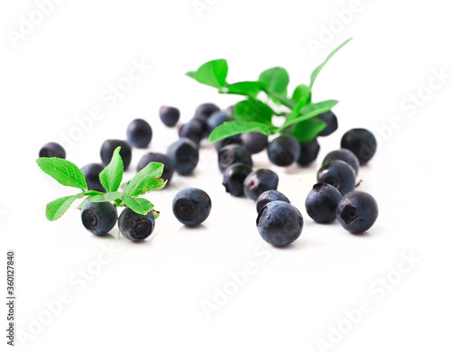Heap of blueberry with leaves isolated on a white background.