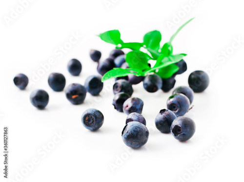 Heap of blueberry with leaves isolated on a white background.