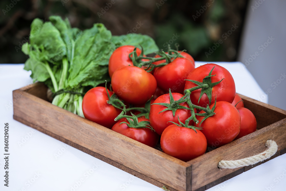 Tomatoes, healthy food. Isolated tomato top view. white background or closeup Tomatoes, healthy food. Isolated tomato top view. white background or closeup