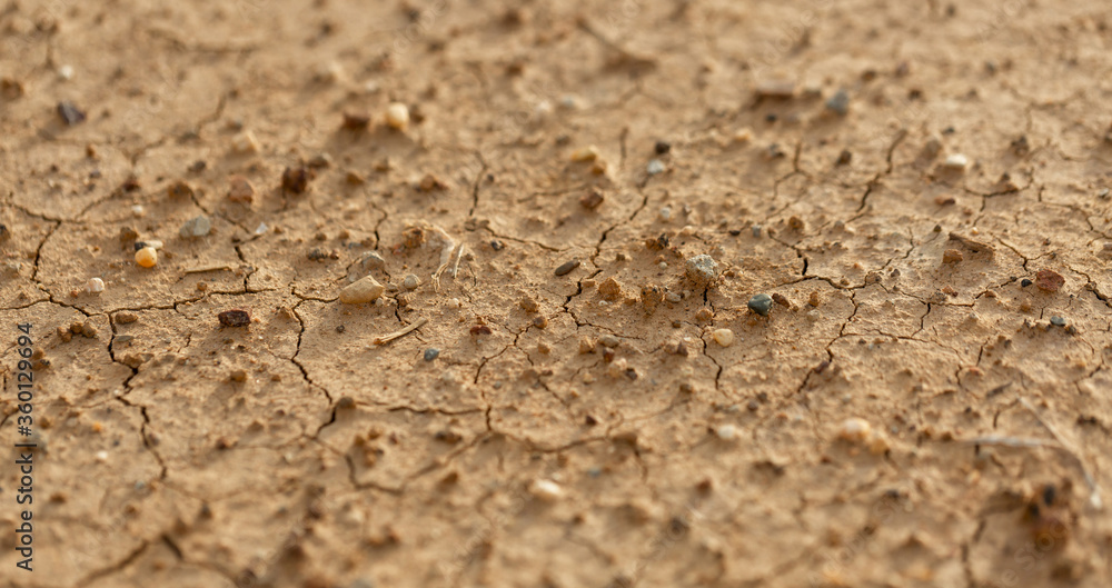 Part of a Huge Area of Dried Land Suffering from Drought - in Cracks Part of a Huge Area of Dried Land Suffering from Drought - in Cracks