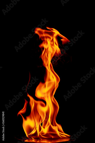 fire on black background © ohm2499