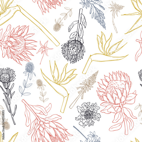  Hand drawn African flowers. Vector seamless pattern