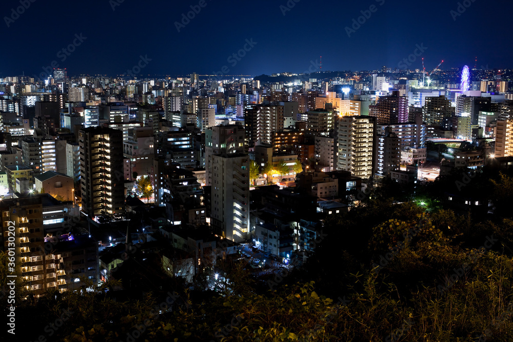 Obraz premium 城山より見る鹿児島市街地の夜景 
