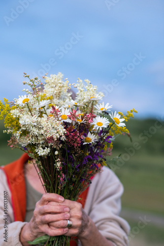 bouquet of wild flowers in woman hands