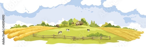Abstract rural landscape with cows and village. Watercolor vector illustration, wheat fields and meadows.