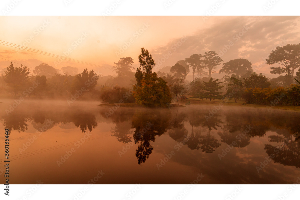 Fototapeta premium Morning breeze