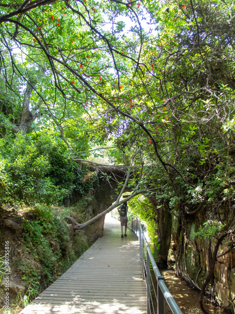The way to Banias waterfall stream on Jordan. River Hermon, Nature Reserve in the north of Israel. The way to Banias waterfall stream on Jordan. River Hermon, Nature Reserve in the north of Israel.