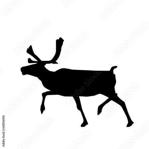 Deer vector silhouette illustration isolated on white background.