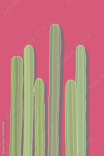 Conjunto de cactus verticales sobre fondo rojo