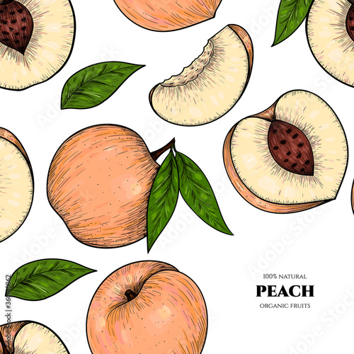 Vector frame with peach. Hand drawn. Vintage style