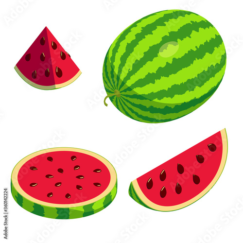 Watermelon icons set. Isometric set of watermelon vector icons for web design isolated on white background