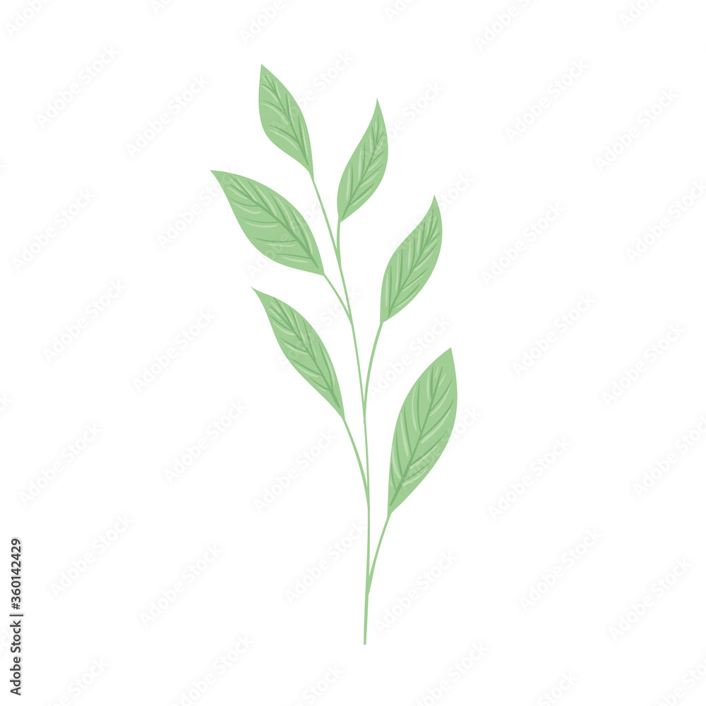 tropical branch with leaf pastel color on white background